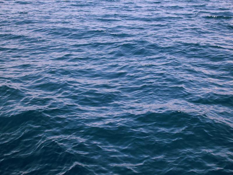 Equipo HavraElSonPyr