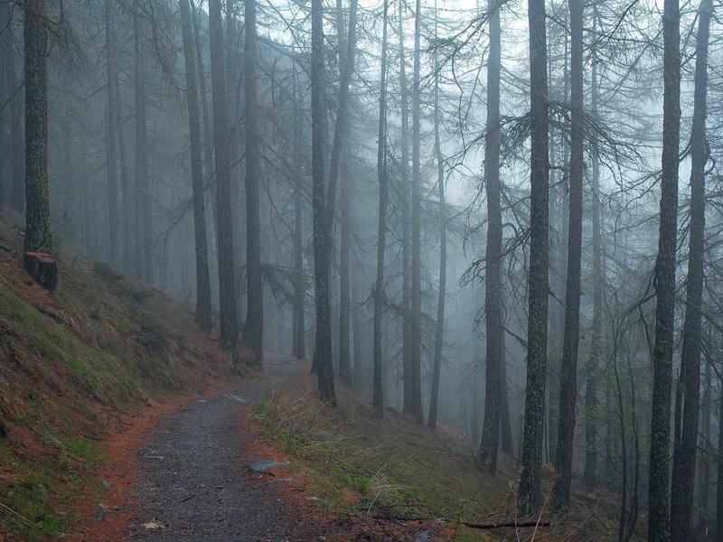 HavraElSonPyr Puerto Plata